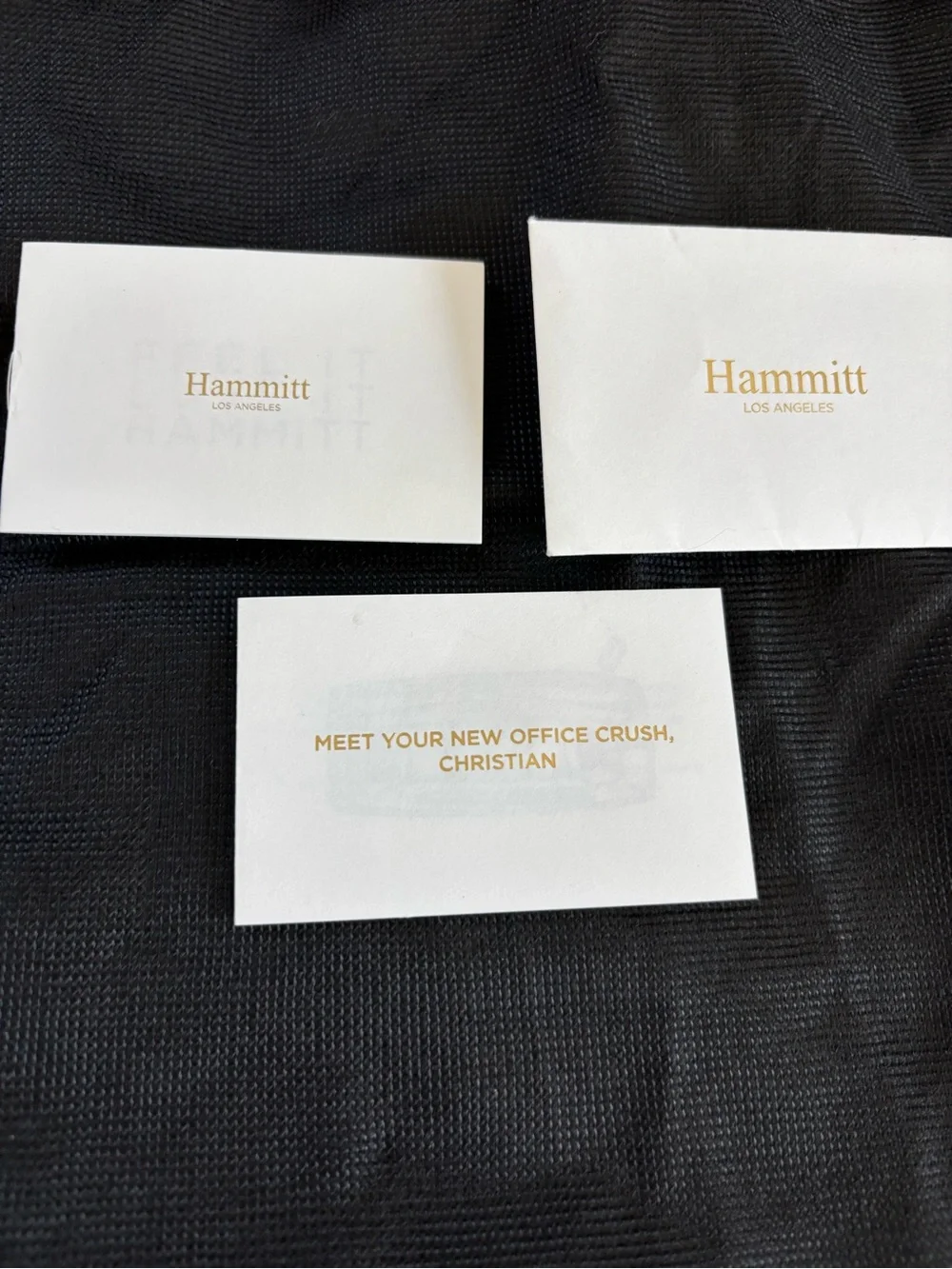 Hammitt Christian Office Tote Bag and Laptop Sleeve